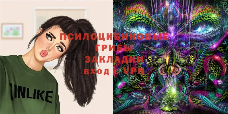 Галлюциногенные грибы MAGIC MUSHROOMS  Кропоткин 